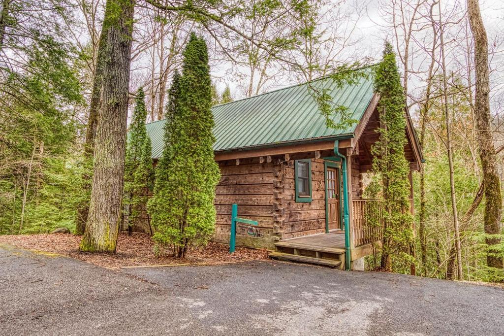 גטלינבורג Mountain Eden, Hot Tub, Resort Pool, Wifi, 1089 Free Tickets Each Paid Day, Dollywood And More מראה חיצוני תמונה